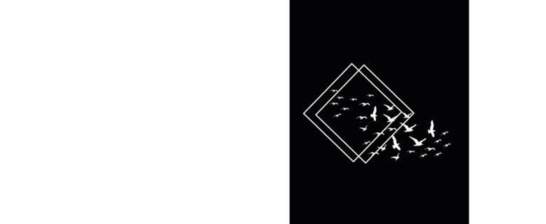Triangles Fly