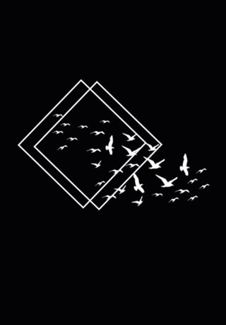 Triangles Fly