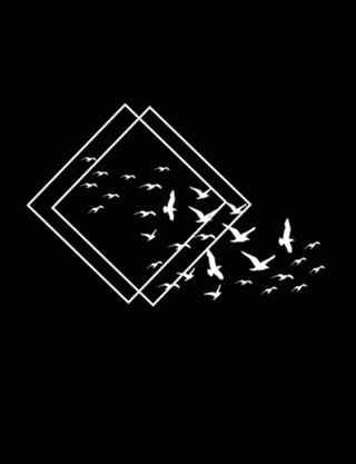 Triangles Fly