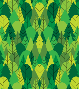 Into the Forest