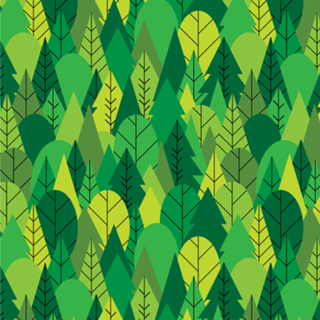 Into the Forest