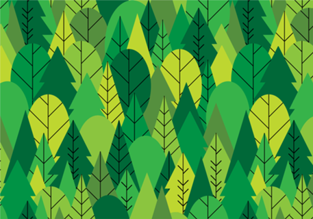Into the Forest
