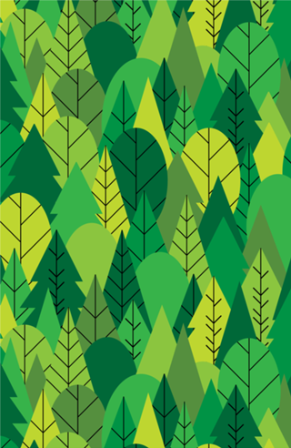 Into the Forest