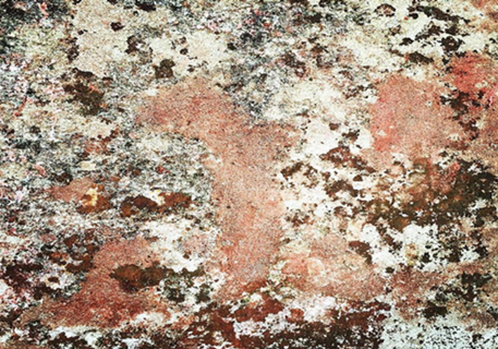 Pink Rust