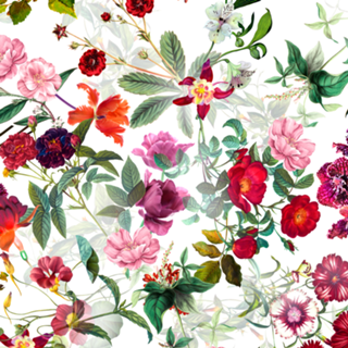 BOTANICAL