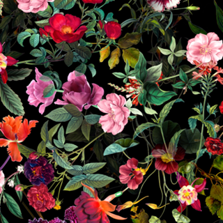 BOTANICAL BLACK