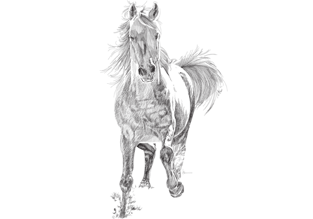 Horse