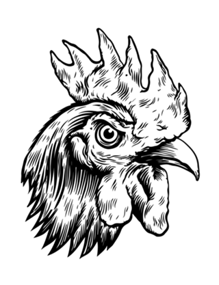 Gallo