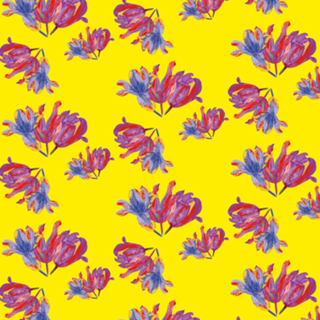 A Splash of Tulip