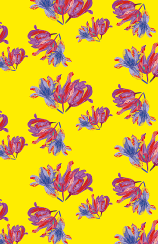 A Splash of Tulip