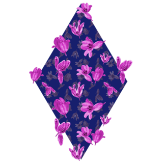 Pink Tulip