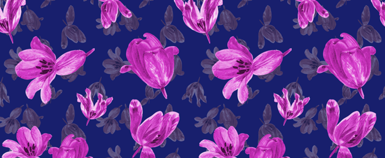 Pink Tulip