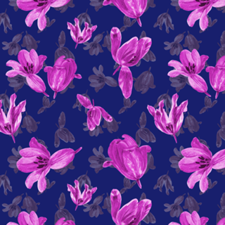 Pink Tulip
