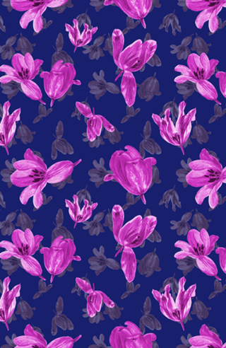 Pink Tulip