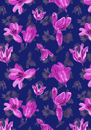 Pink Tulip