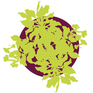 Citrus Green