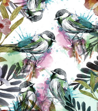 Bird