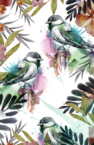 Bird