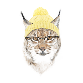 Its pretty cold outside