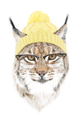 Its pretty cold outside