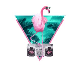 Miami flamingo