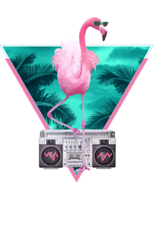 Miami flamingo