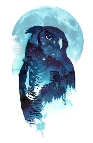 Midnight owl