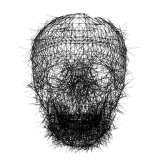 Calavera Sketch