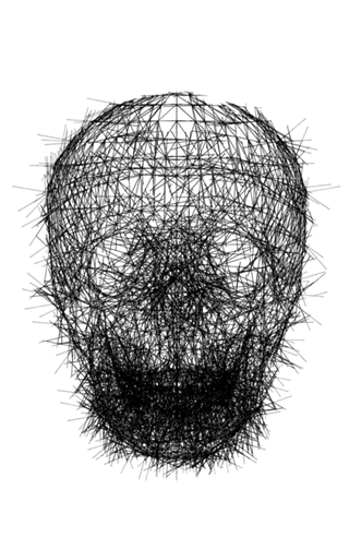 Calavera Sketch