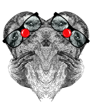 Clown Sloth