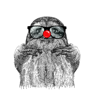 Clown Sloth