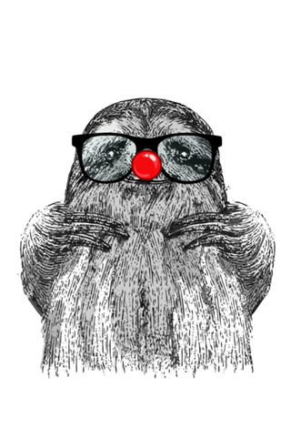 Clown Sloth
