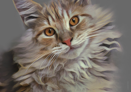 Gato Leão