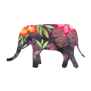 Elefante amorzinho