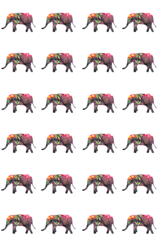 Elefante amorzinho