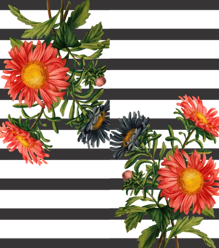 As flor 