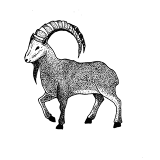 Black Phillip