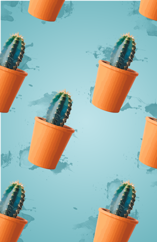 Cactus