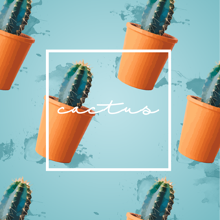 Cactus
