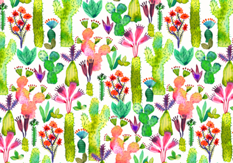 Cacti Garden