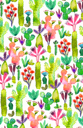 Cacti Garden