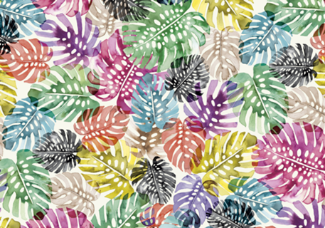 Tropical Monstera Folhas