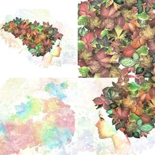 Autumn leaves of red and gold