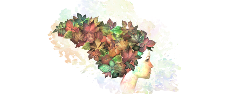 Autumn leaves of red and gold