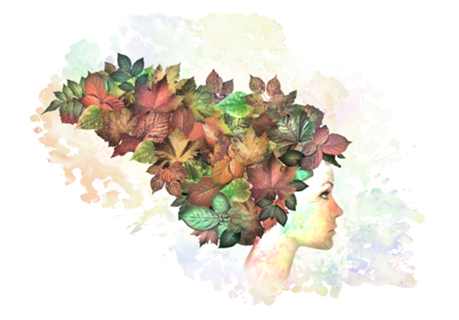 Autumn leaves of red and gold
