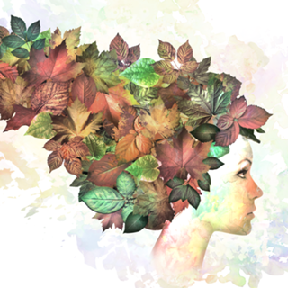 Autumn leaves of red and gold