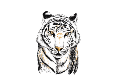 Tigre Branco Guardião em nanquim e dourado