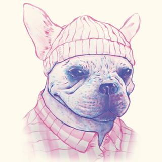Magenta Dog