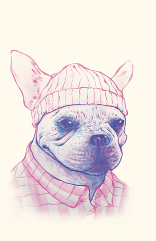 Magenta Dog