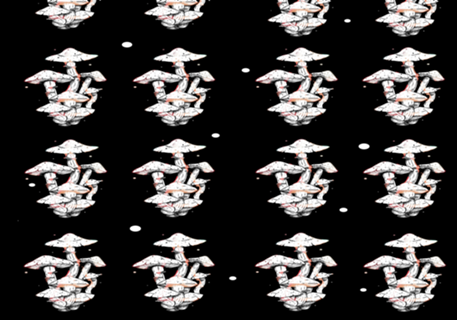 Cogumelo dark